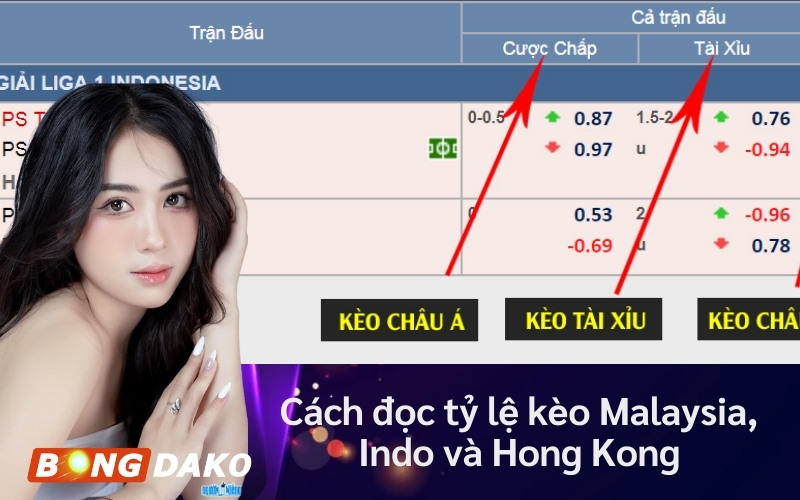 Cách đọc tỷ lệ kèo Malaysia, Indo, Hong Kong