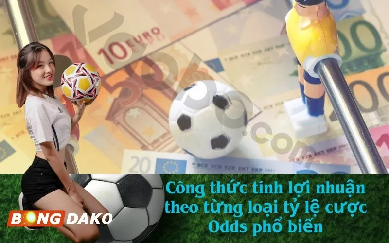 Công thức tính lợi nhuận theo từng loại tỷ lệ cược Odds phổ biến