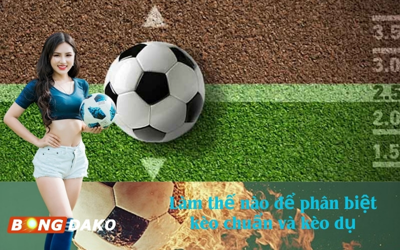 Làm thế nào để phân biệt kèo chuẩn và kèo dụ