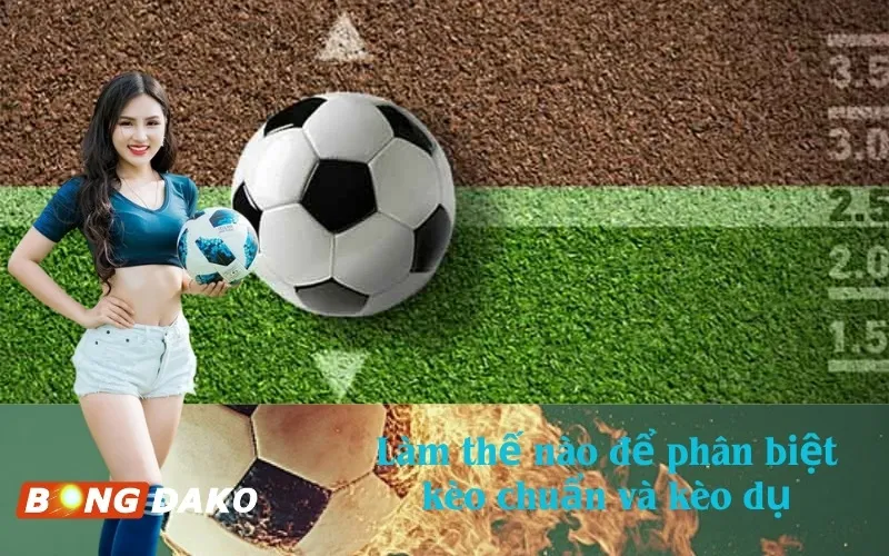 Làm thế nào để phân biệt kèo chuẩn và kèo dụ