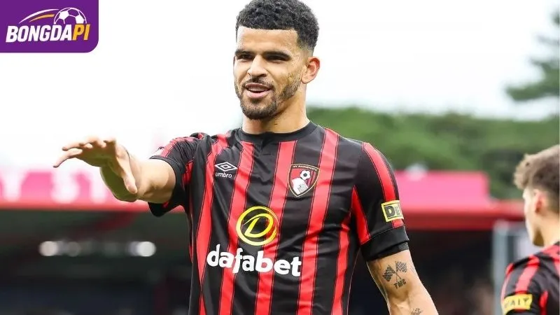 Dominic Solanke là cái tên được CLB xem xét